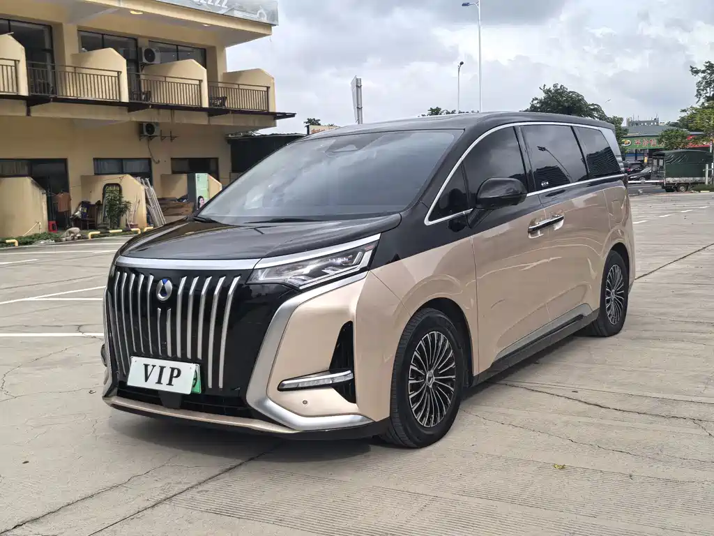 Denza Denza D9 — миниатюра 2