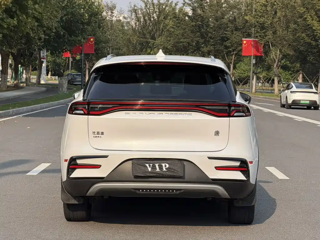BYD Tang New Energy — миниатюра 12