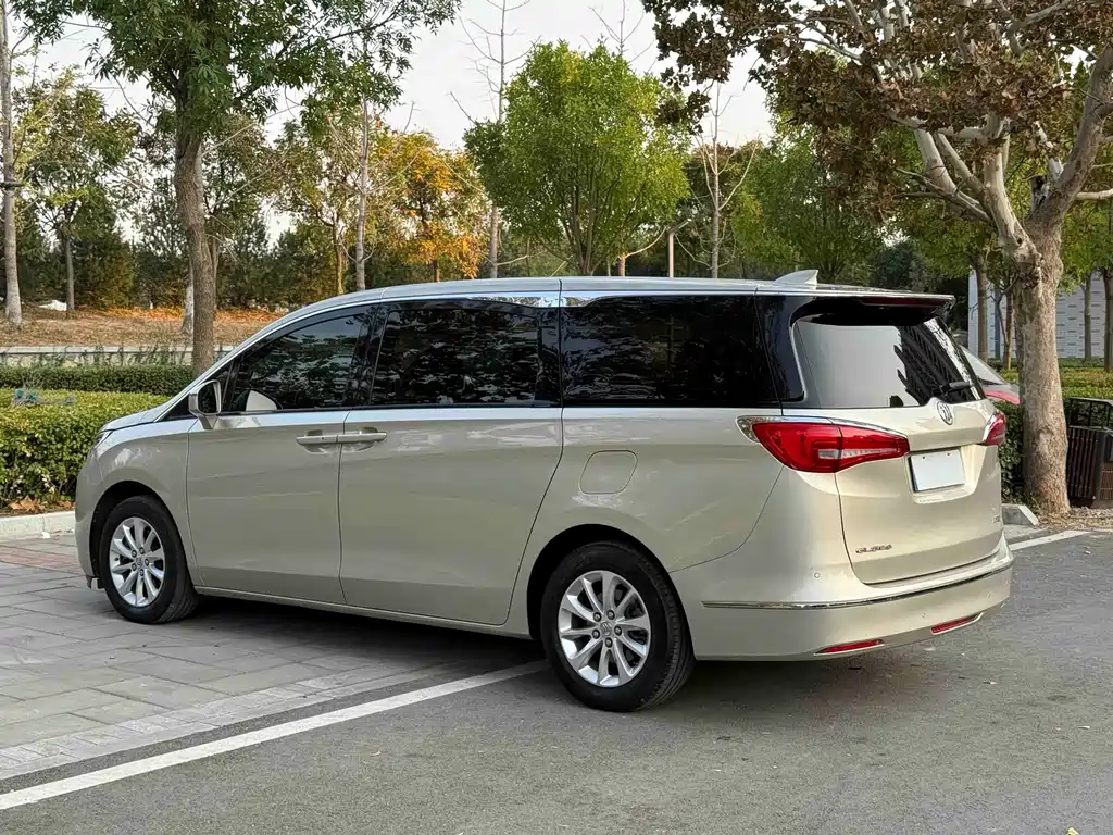 Buick GL8 — миниатюра 18
