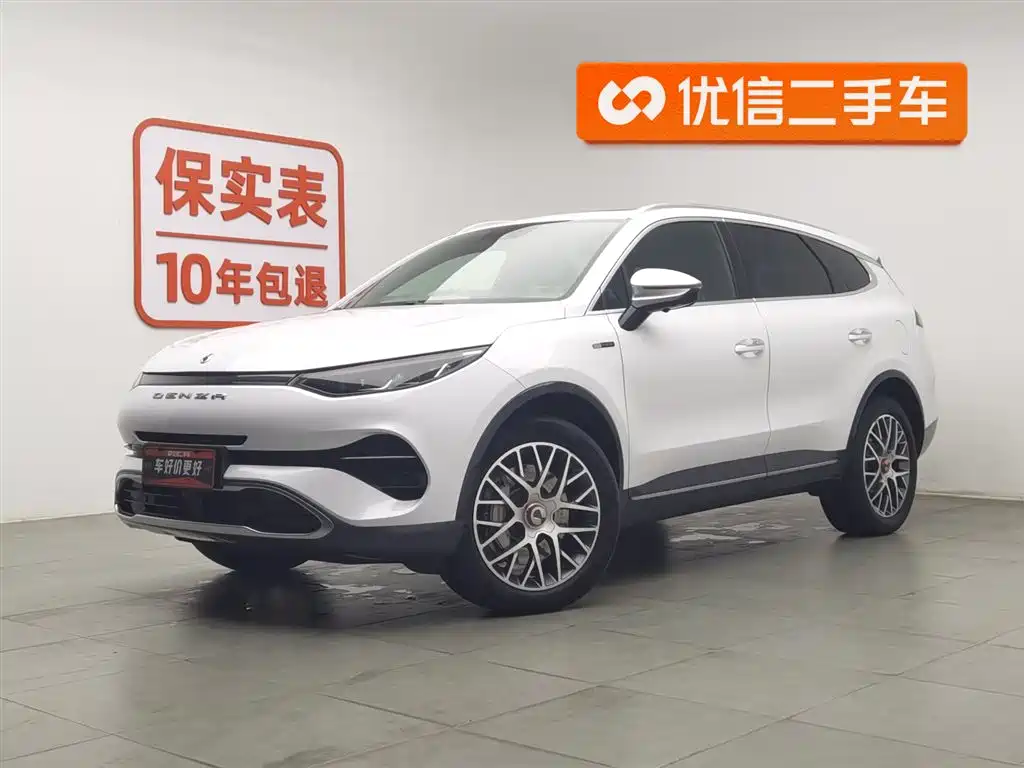 Denza Denza X 2021