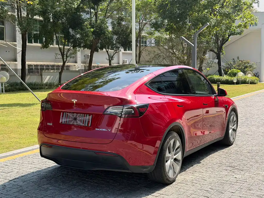 Tesla Model Y — миниатюра 10