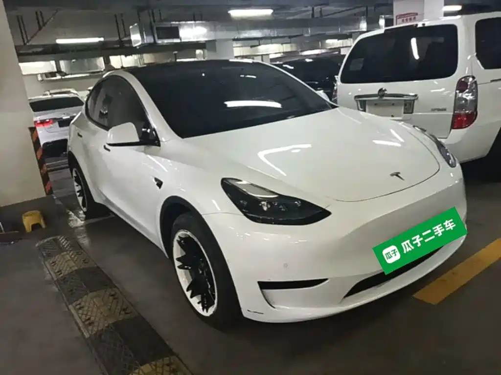 Tesla Model Y — миниатюра 4