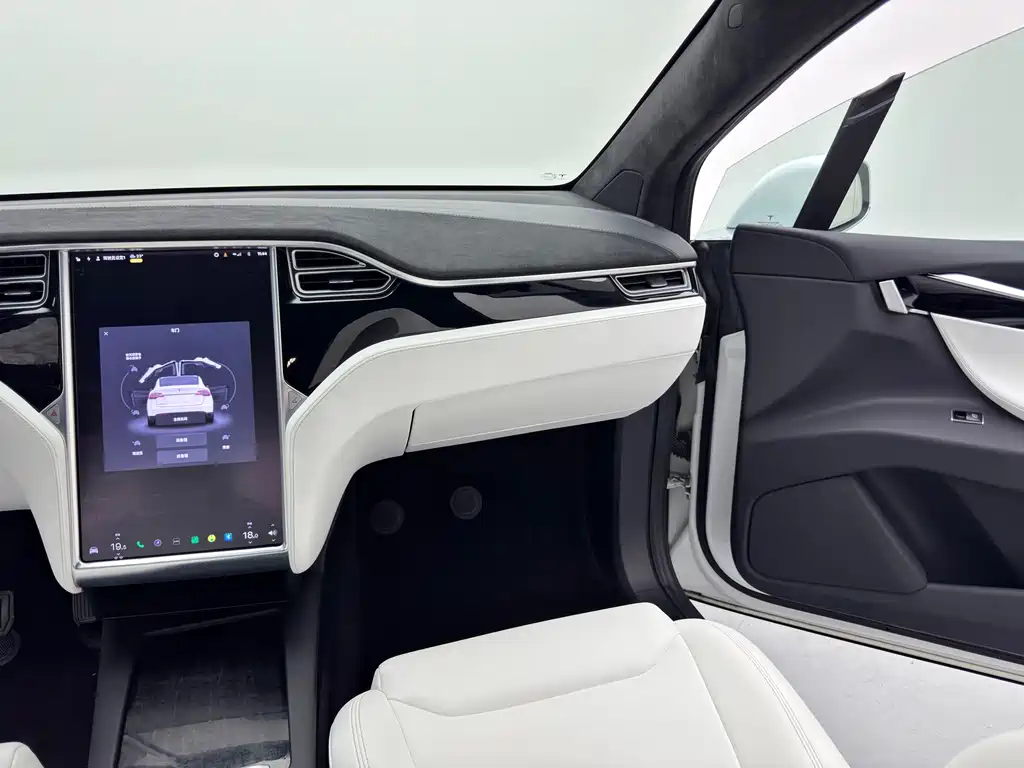 Tesla Model X — миниатюра 10