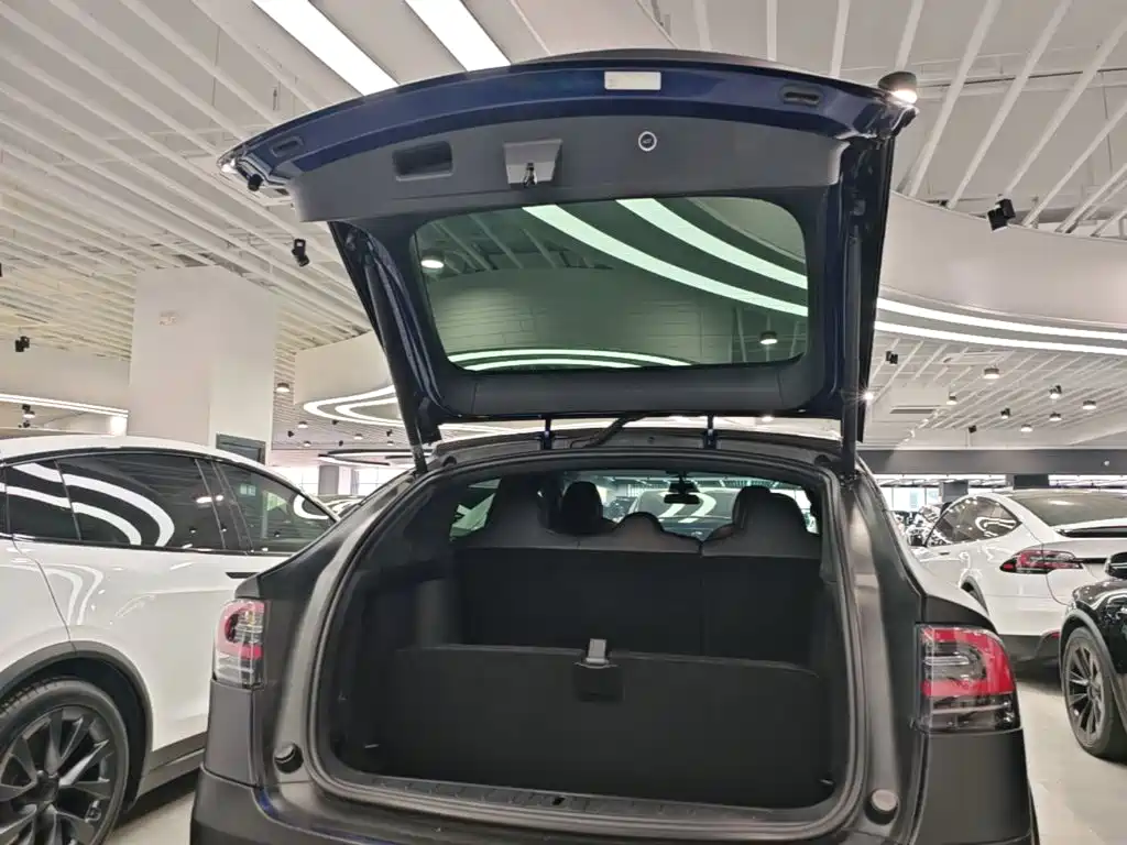Tesla Model X — миниатюра 19