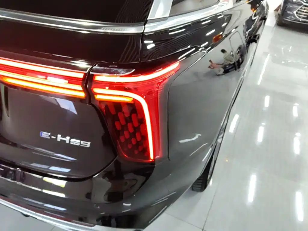 Hongqi Hongqi E-HS9 — миниатюра 8