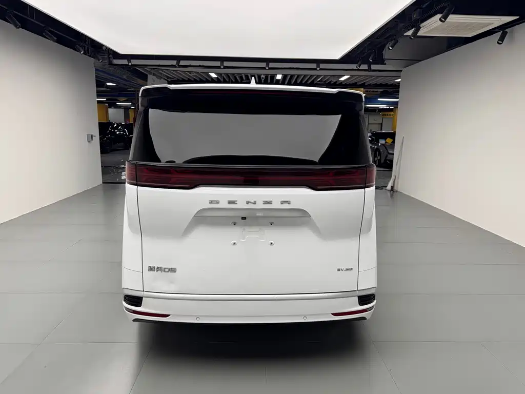 Denza Denza D9 — миниатюра 19