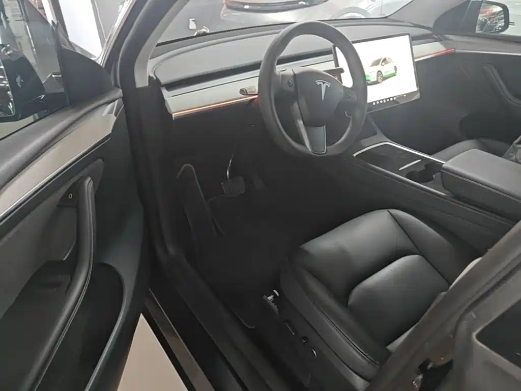 Tesla Model Y — миниатюра 15