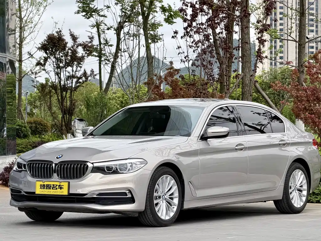 BMW 5 Series 2020