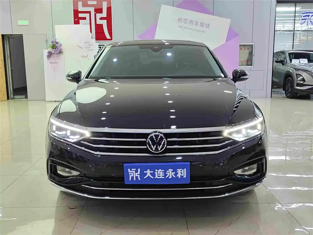 Volkswagen Magotan — миниатюра 2
