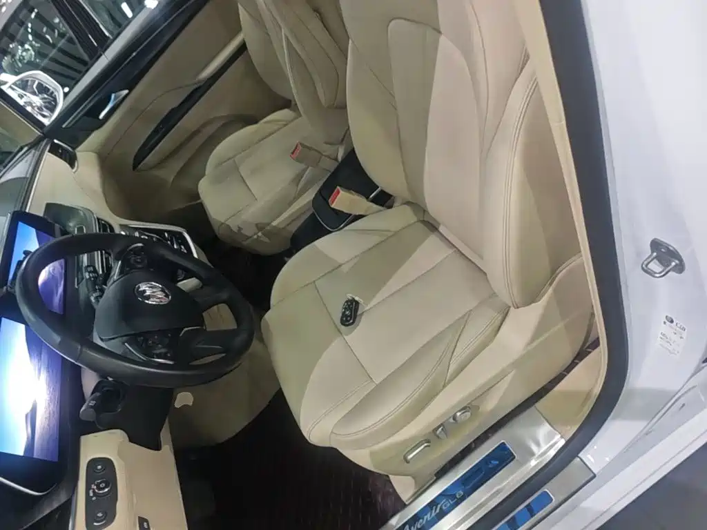 Buick GL8 — миниатюра 15