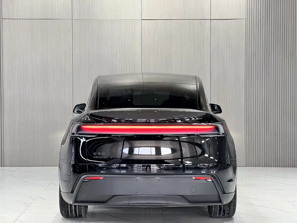 Tesla Model Y — миниатюра 9
