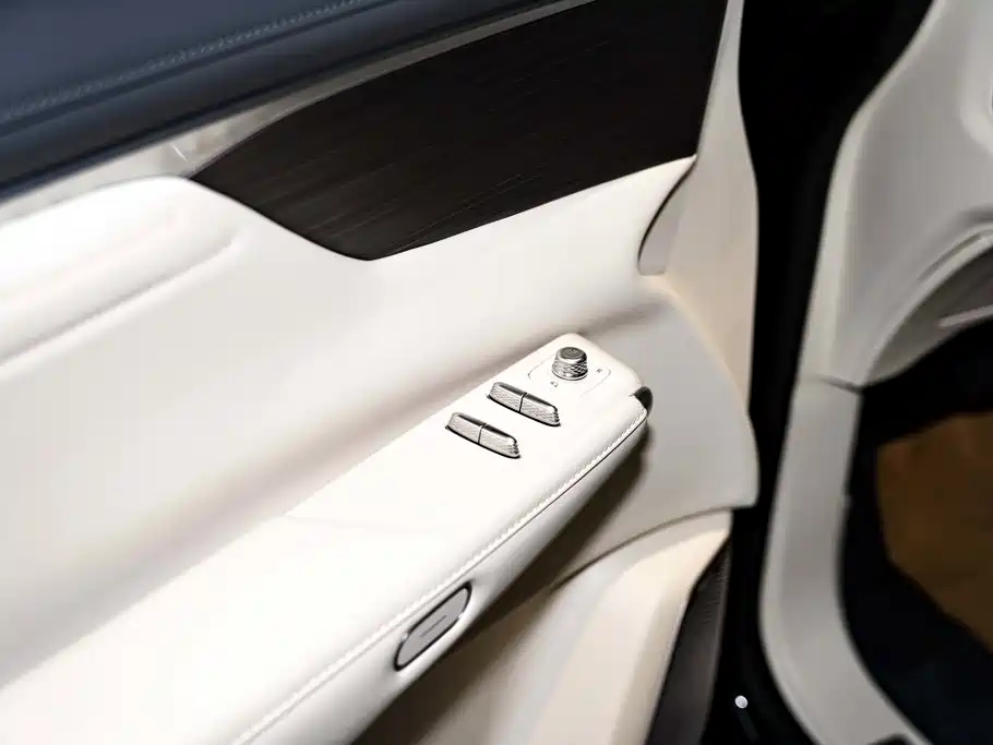 Buick Electra Encasa — миниатюра 29
