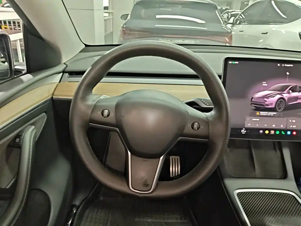 Tesla Model Y — миниатюра 11