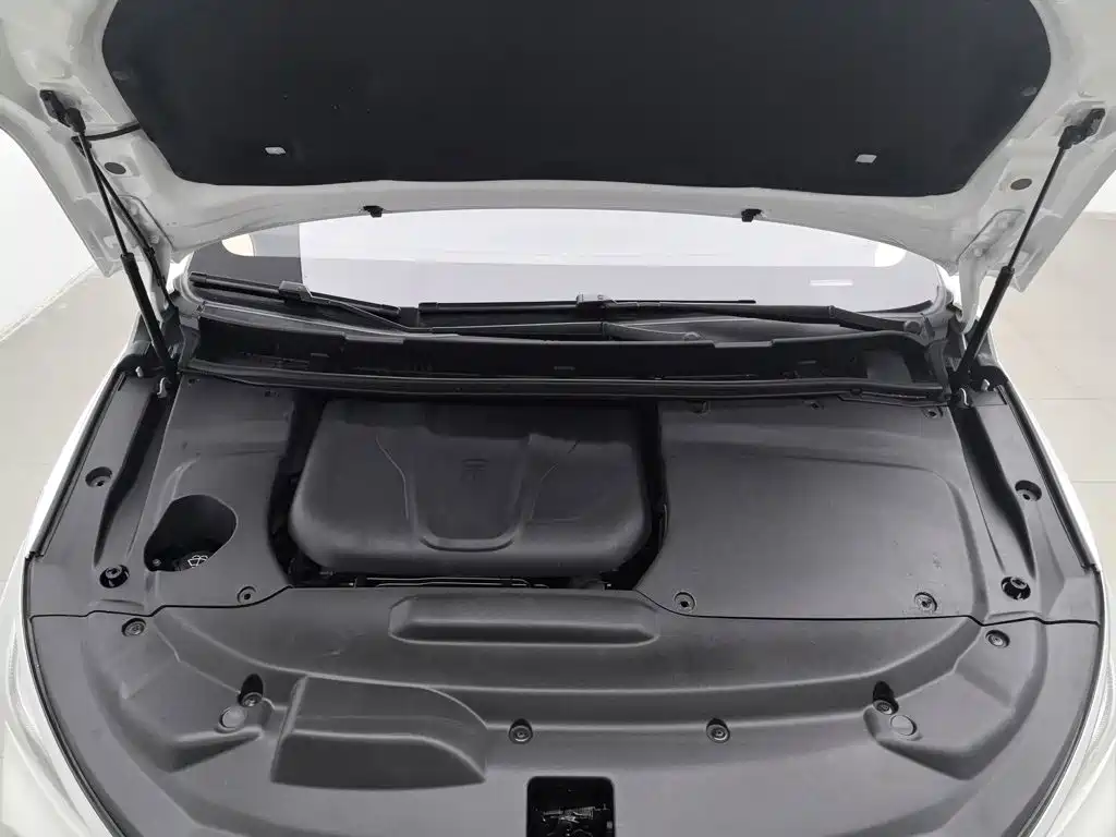 BYD MAX — миниатюра 6