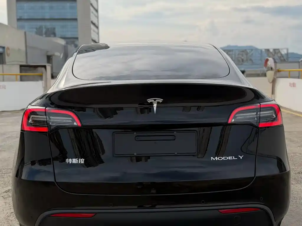 Tesla Model Y — миниатюра 4