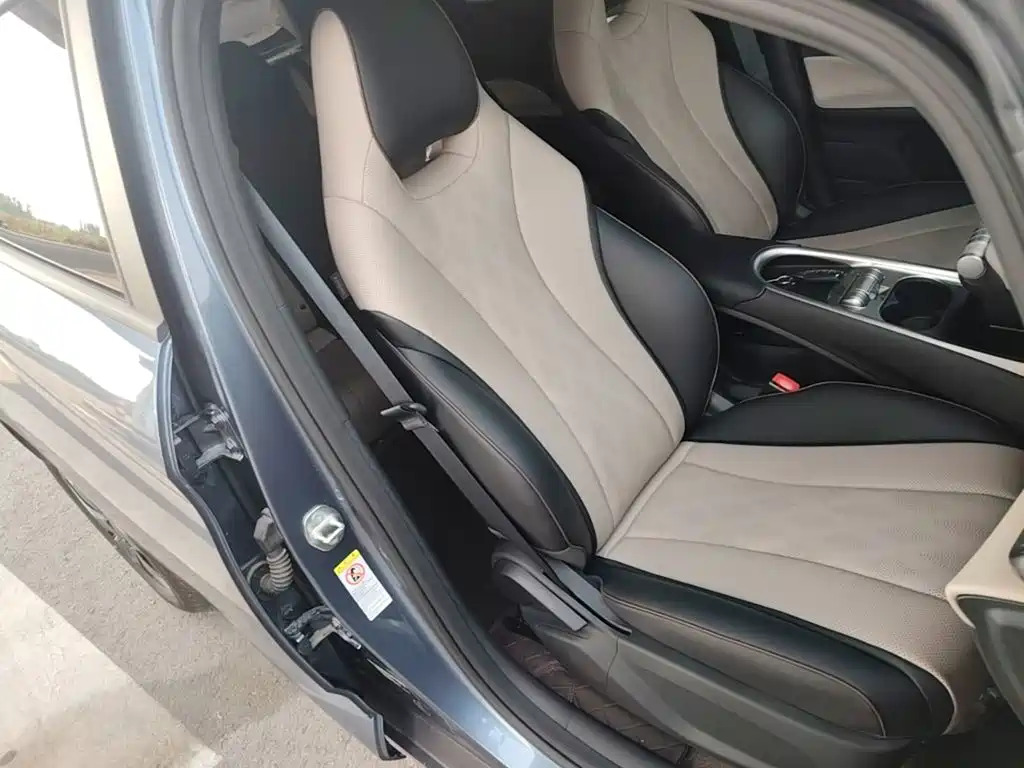 BYD Dolphin — миниатюра 25