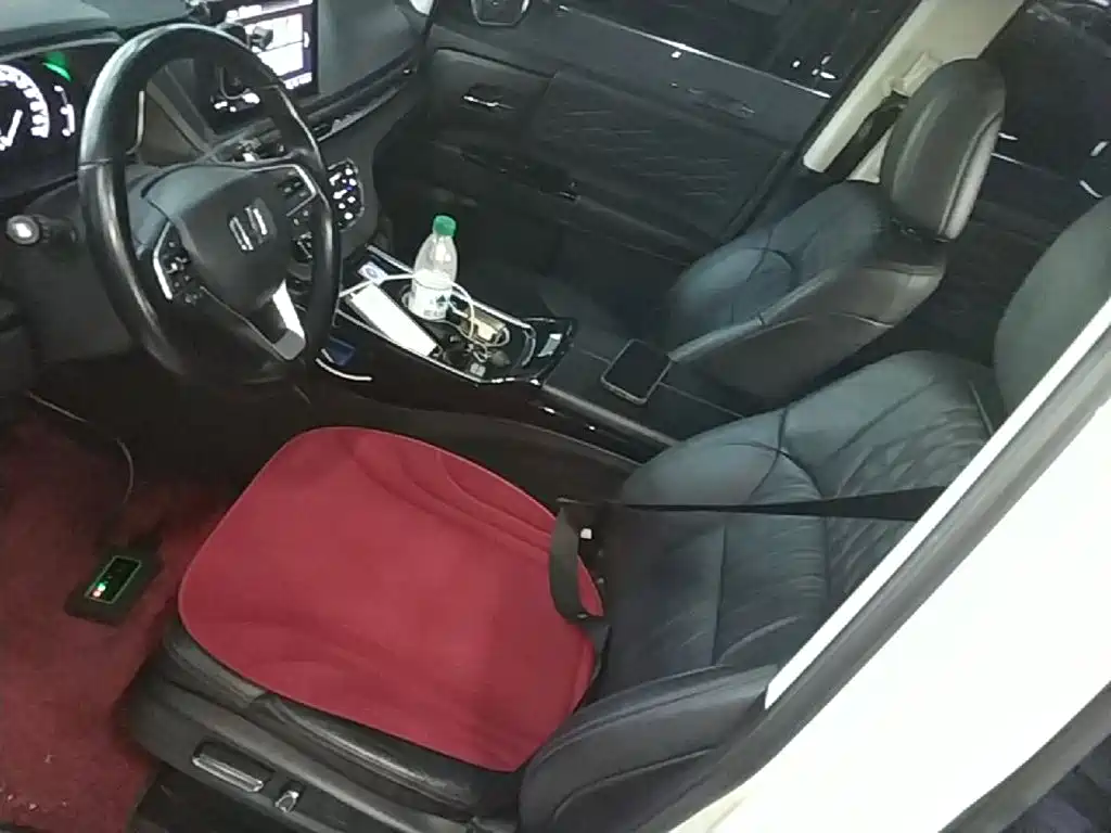Honda Elysion — миниатюра 15