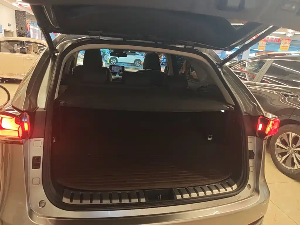Lexus NX — миниатюра 19
