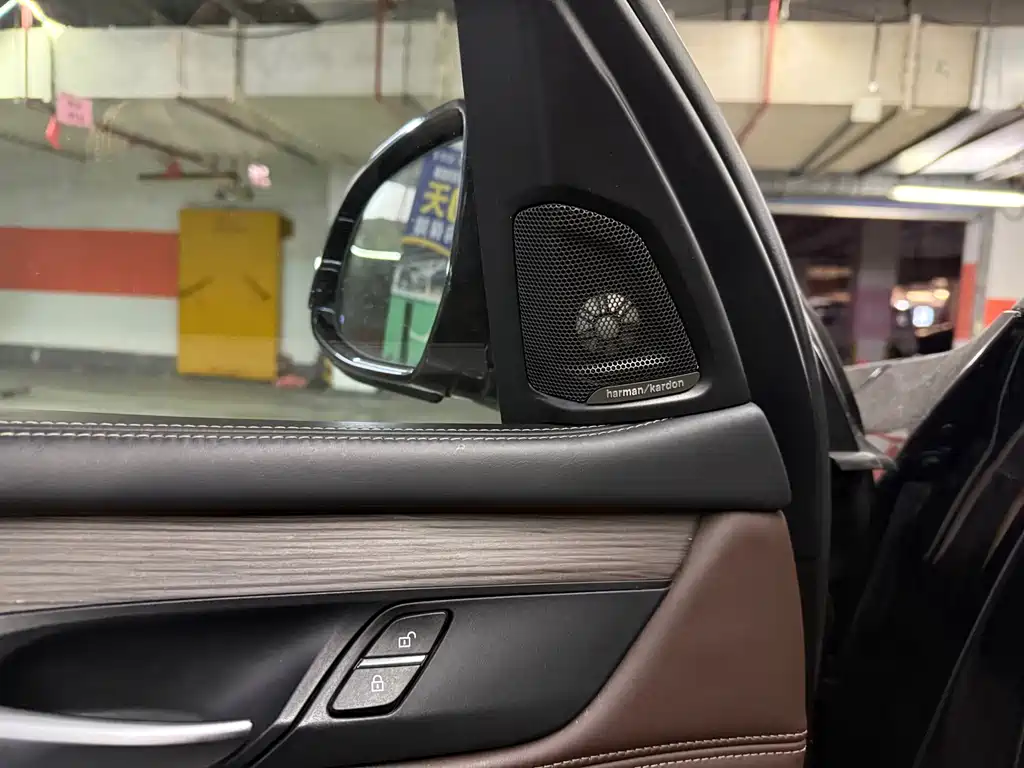 BMW X5 (Import) — миниатюра 9