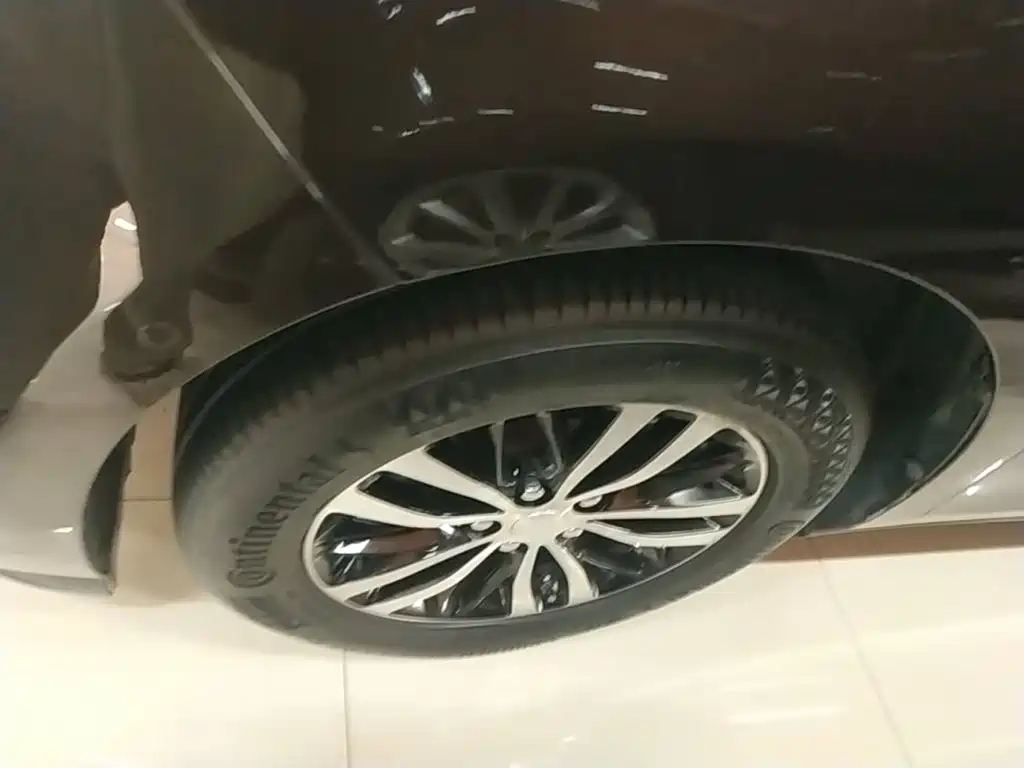 Buick GL8 — миниатюра 23