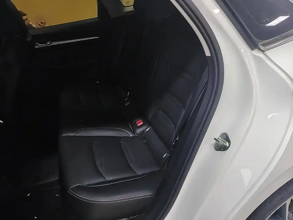 Geely Xingrui — миниатюра 17