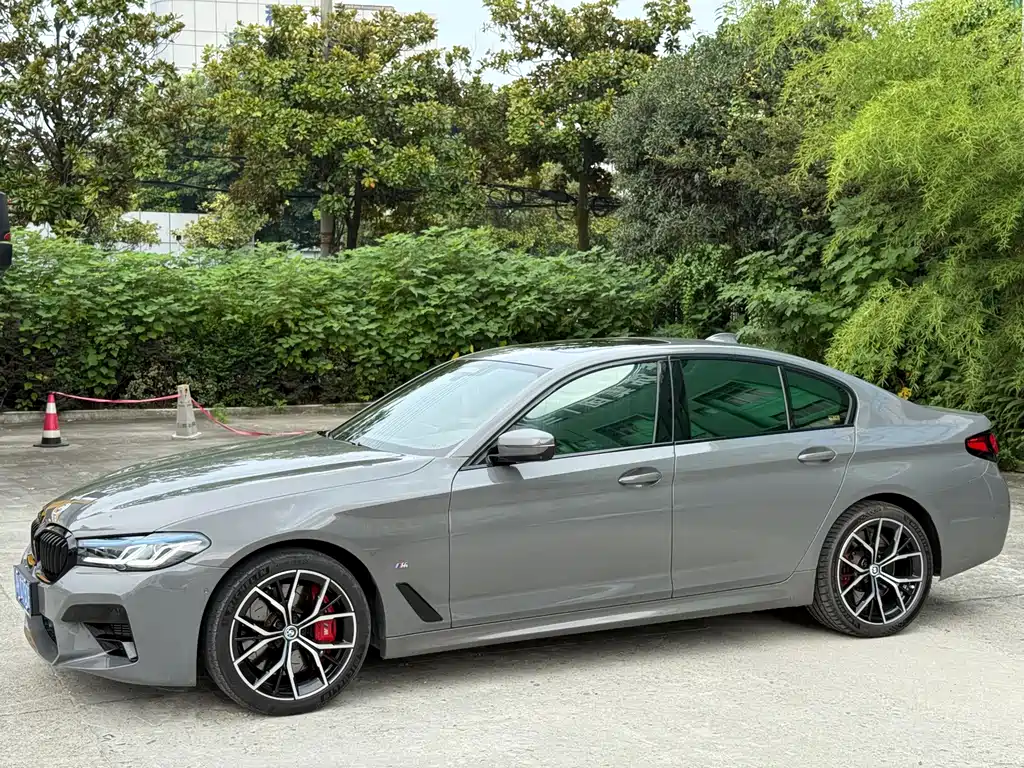 BMW 5 Series (Import) — миниатюра 4