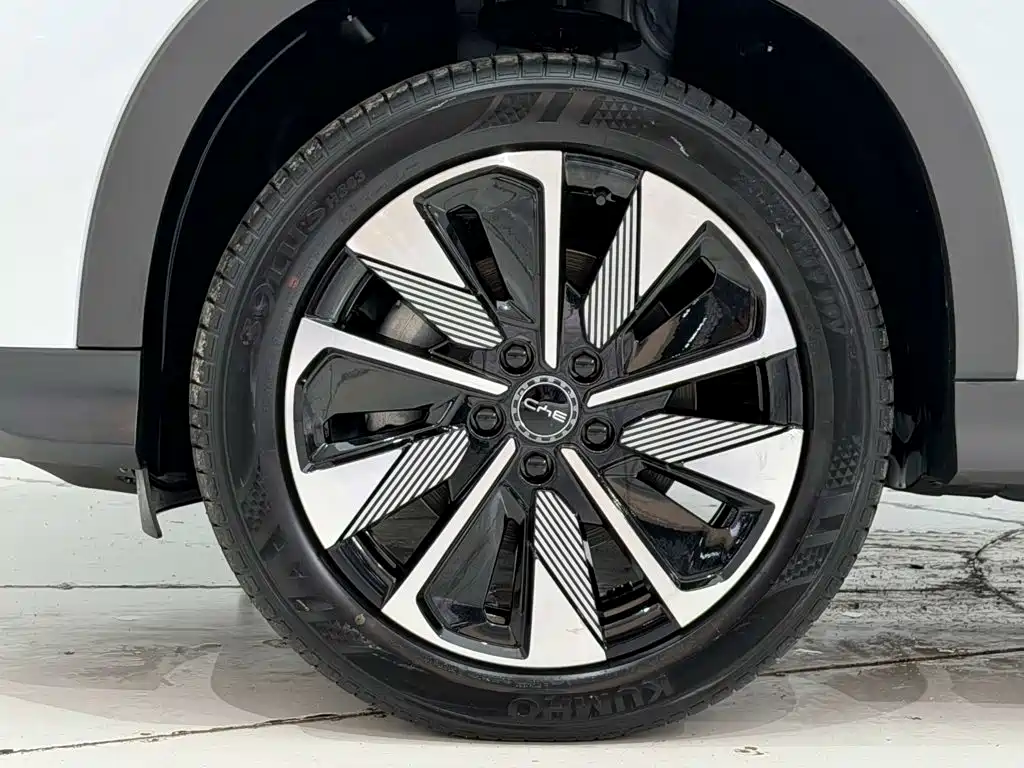 BYD PLUS New Energy — миниатюра 7