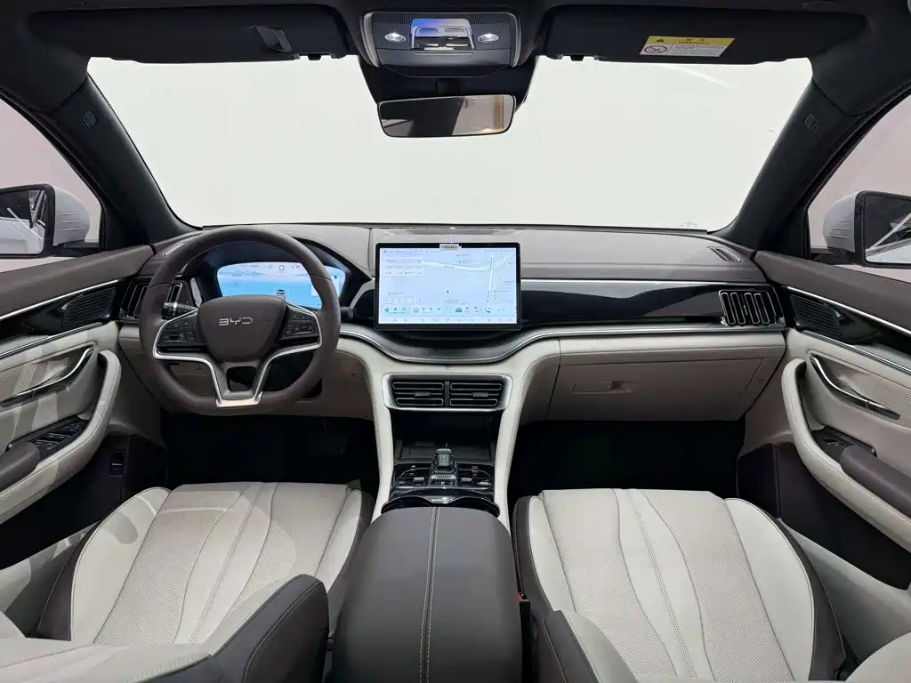 BYD PLUS New Energy — миниатюра 11