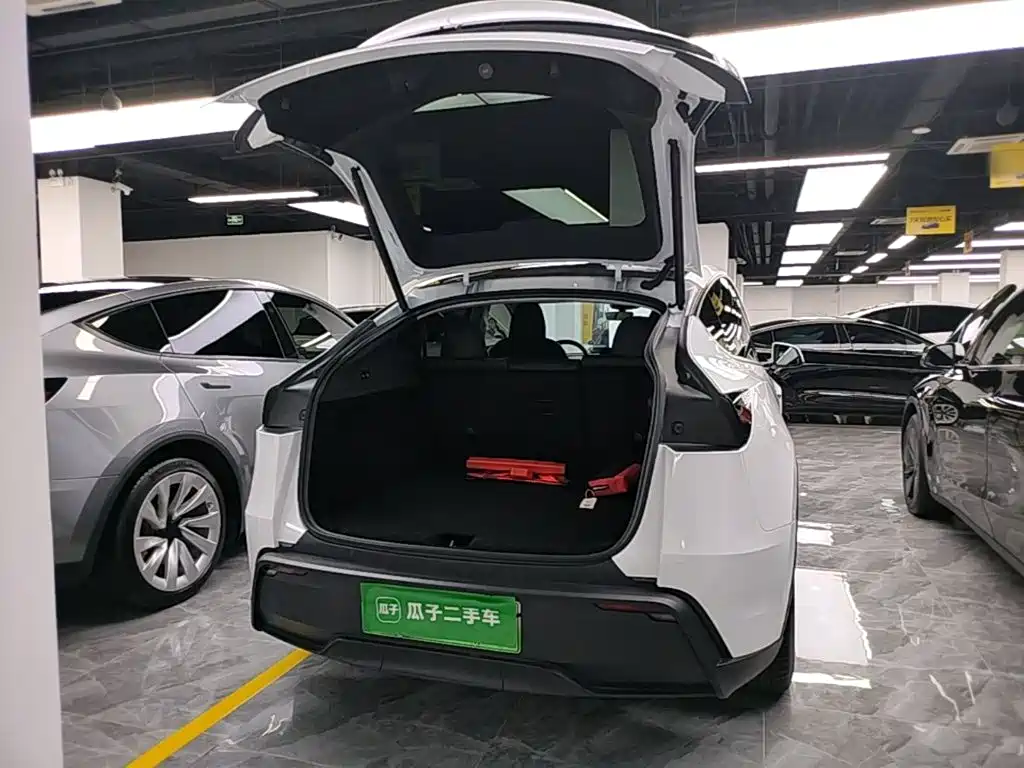 Tesla Model Y — миниатюра 19
