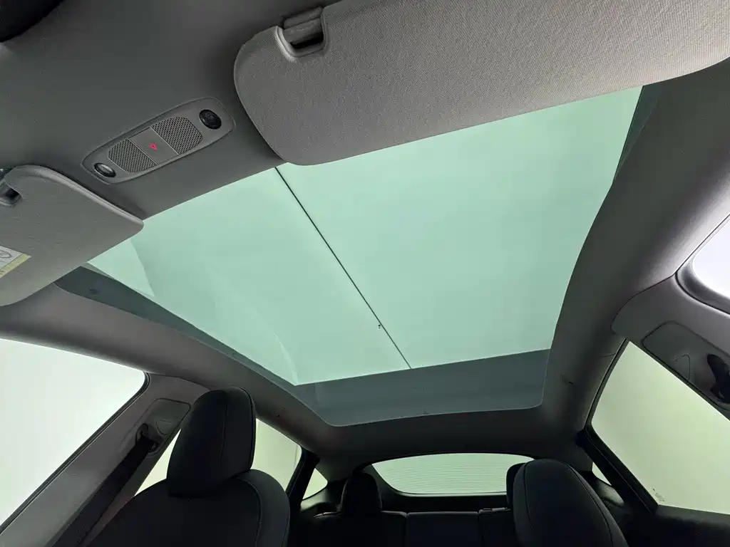Tesla Model Y — миниатюра 10