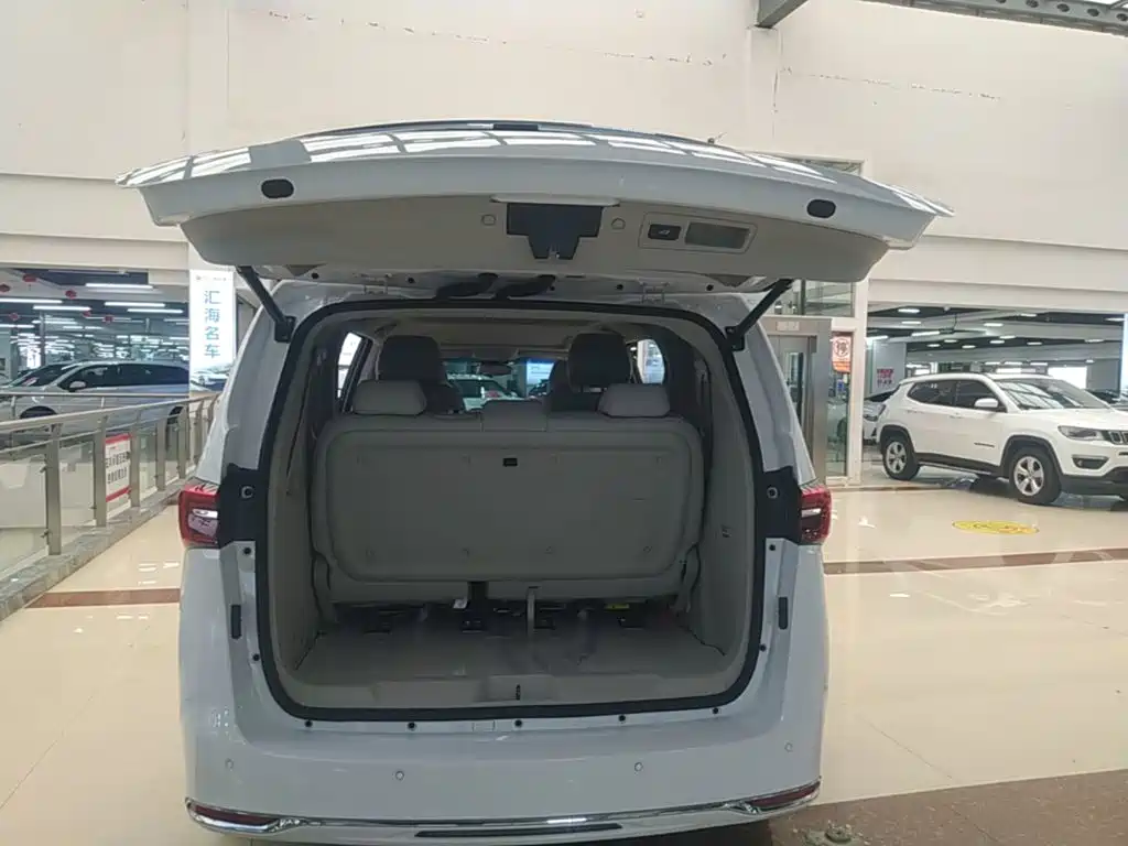 Buick GL8 — миниатюра 19