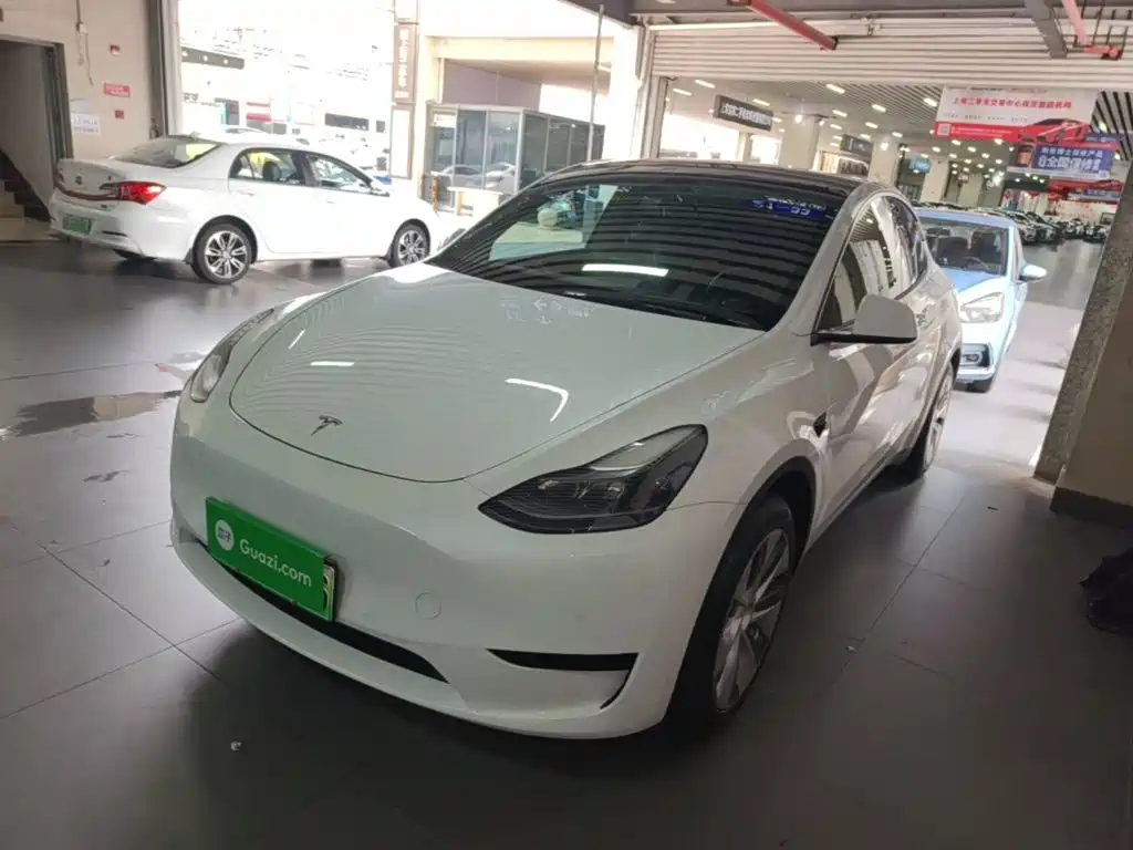 Tesla Model Y — миниатюра 2