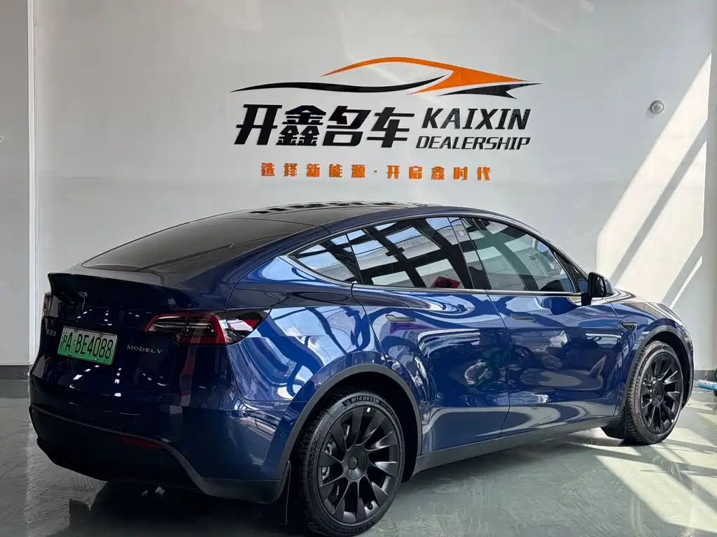 Tesla Model Y — миниатюра 4