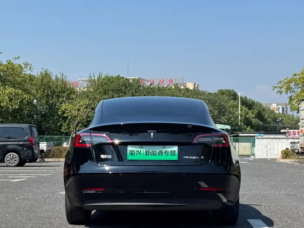 Tesla Model 3 — миниатюра 11