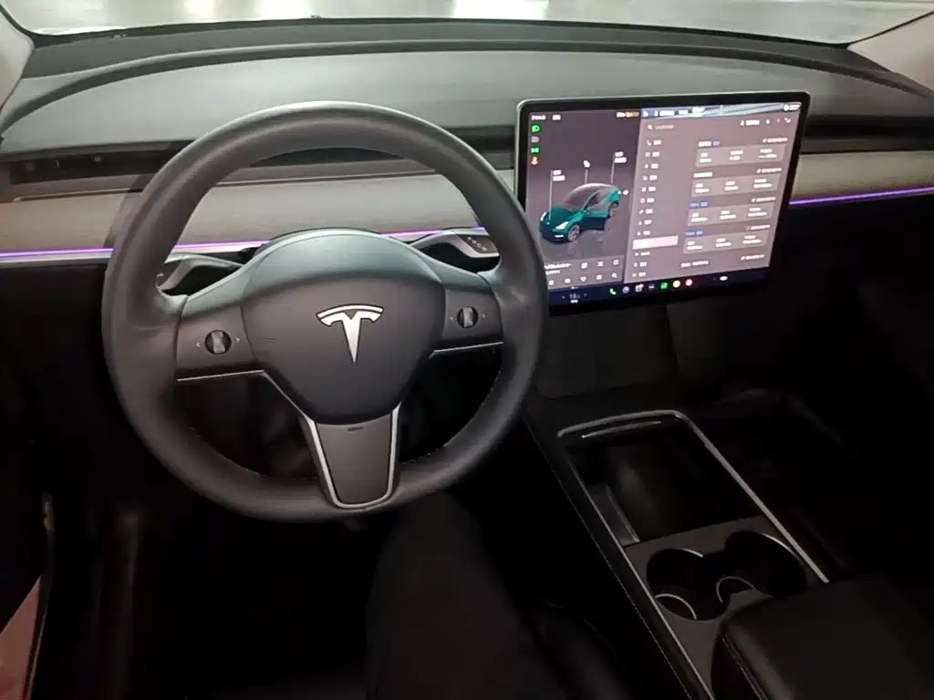 Tesla Model Y — миниатюра 10