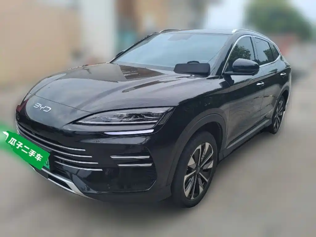 BYD PLUS New Energy — миниатюра 2