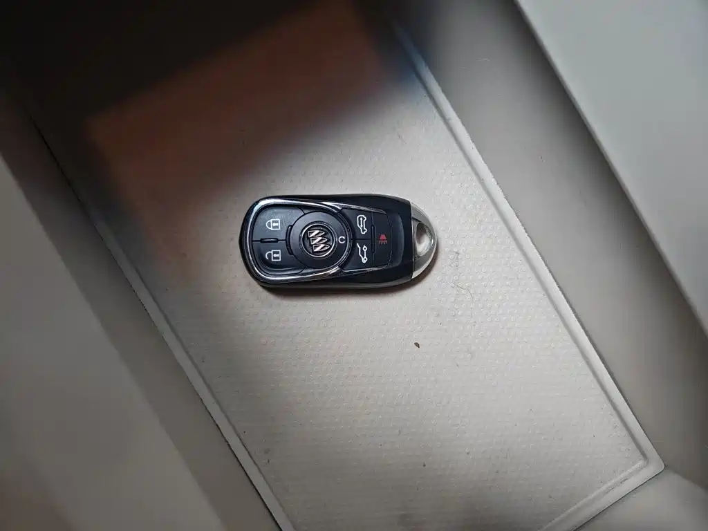Buick GL8 — миниатюра 12