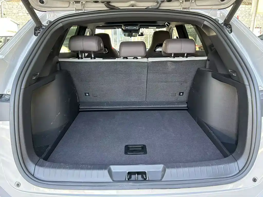 BYD SONGJIANG NEW ENERGY