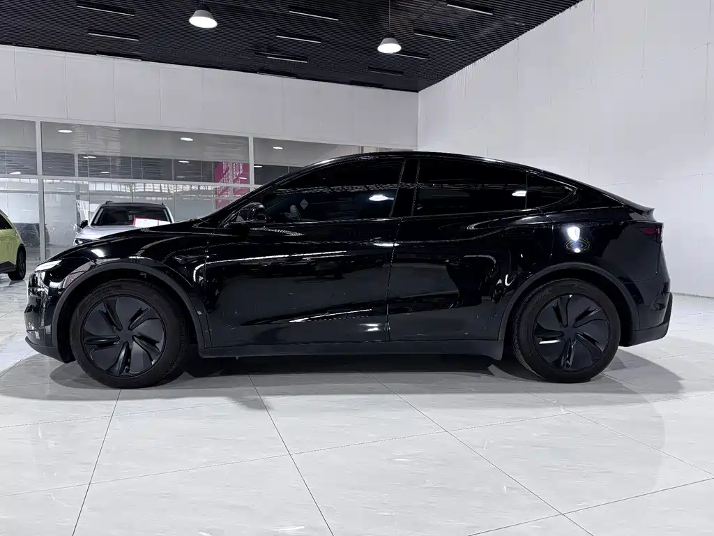 Tesla Model Y — миниатюра 2