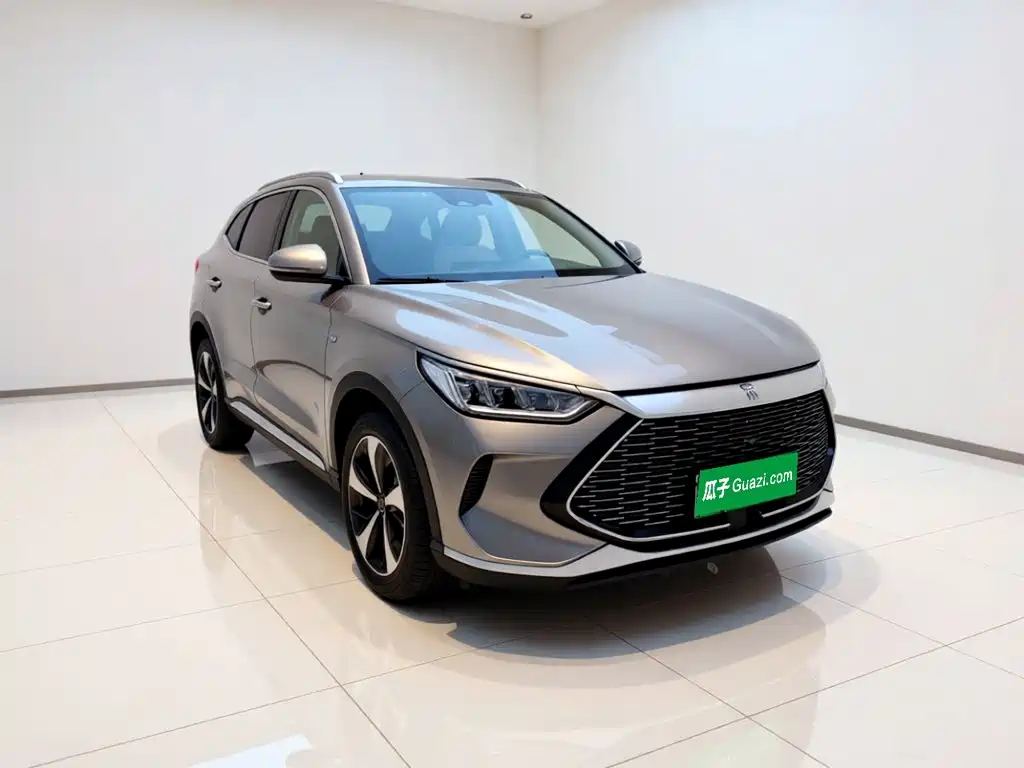 BYD PLUS New Energy — миниатюра 3
