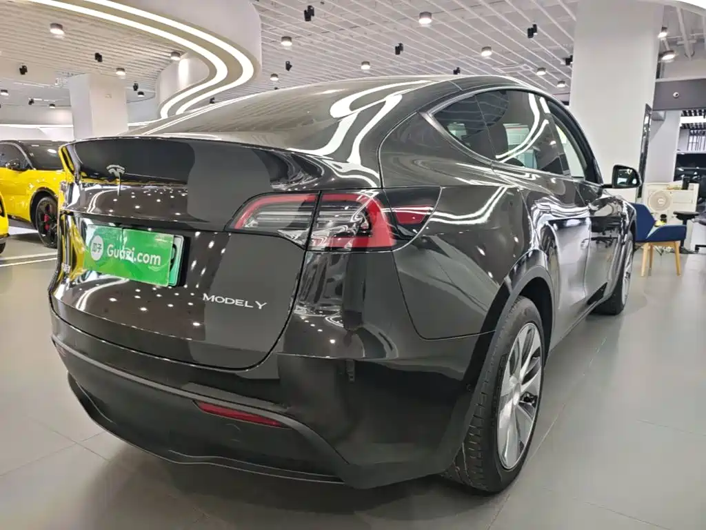 Tesla Model Y — миниатюра 7