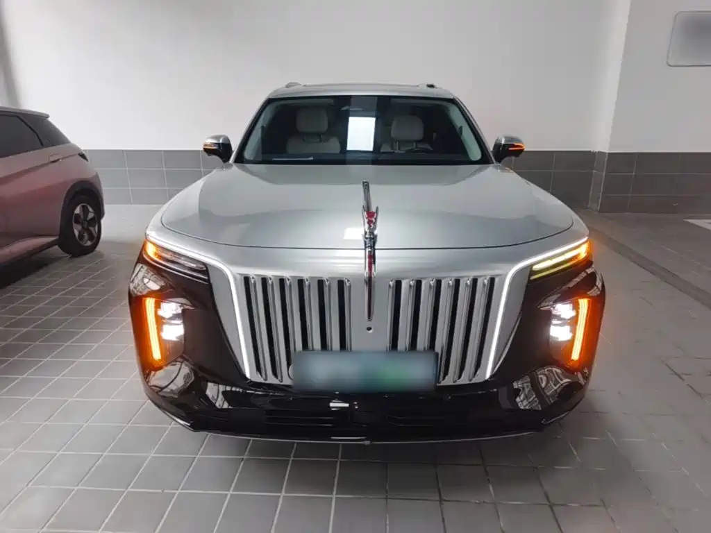 Hongqi Hongqi E-HS9 — миниатюра 3