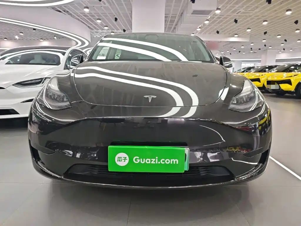 Tesla Model Y — миниатюра 3