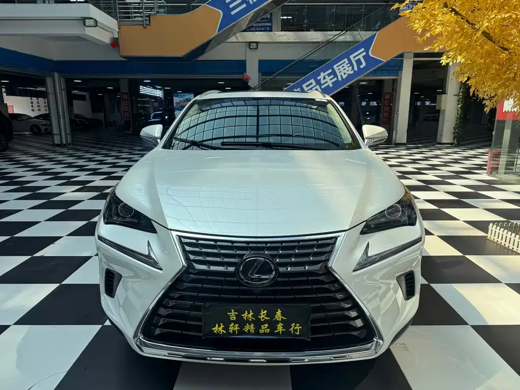 Lexus NX — миниатюра 2