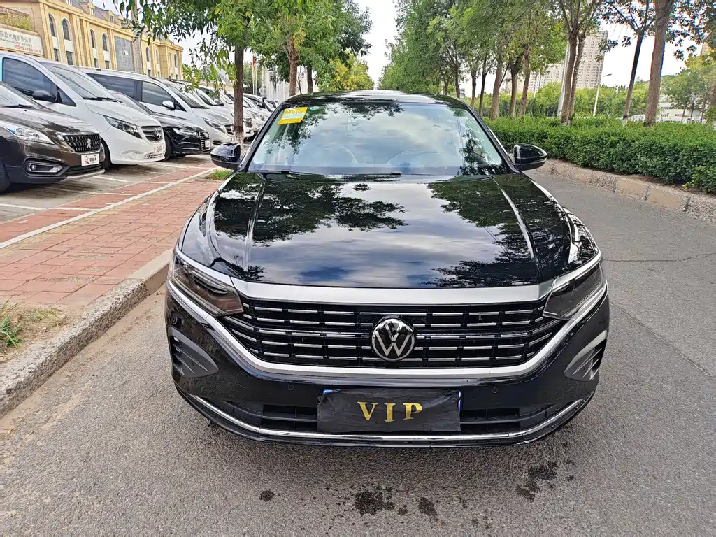 Volkswagen Passat — миниатюра 2