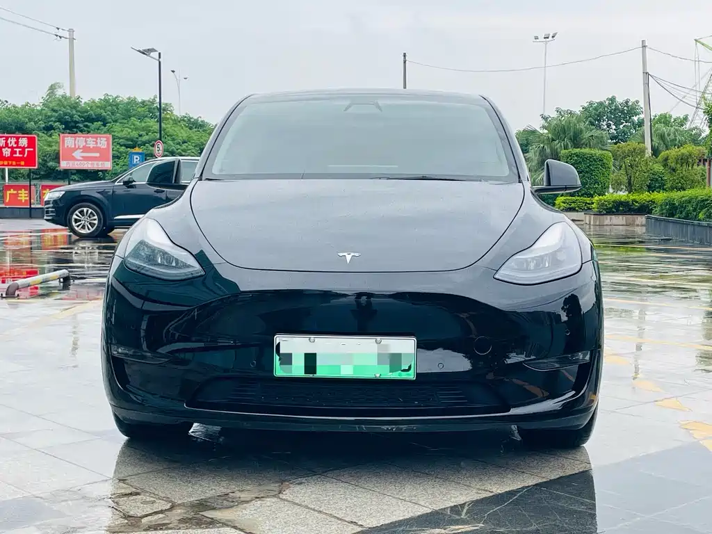 Tesla Model Y — миниатюра 2