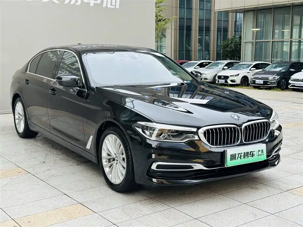 BMW 5 Series New Energy 530Le Luxury Package, фото 3