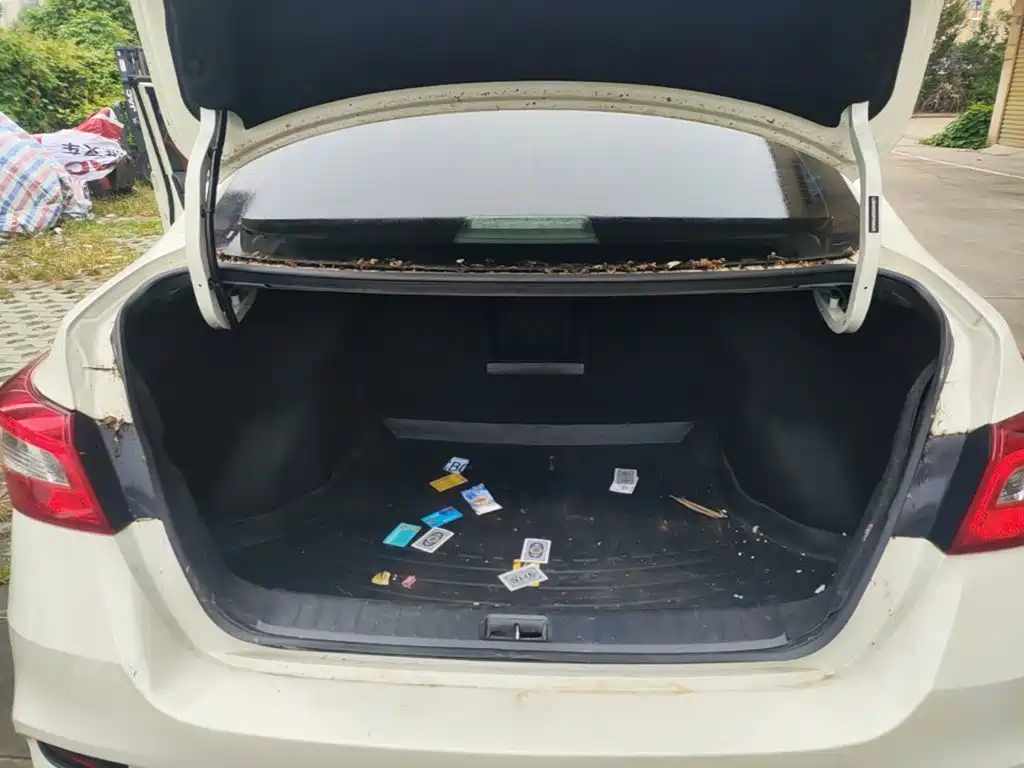 Nissan Sylphy — миниатюра 19