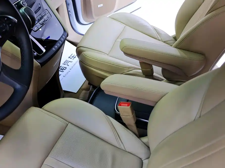 Buick GL8 — миниатюра 21