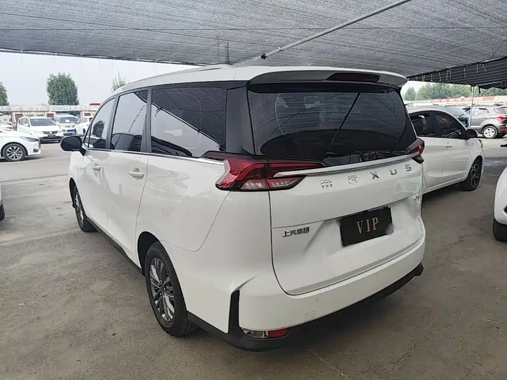 MAXUS G50 — миниатюра 5